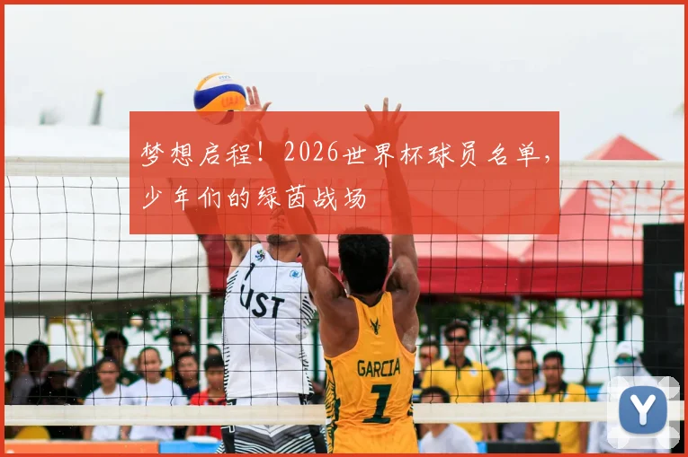 梦想启程!2026世界杯球员名单,少年们的绿茵战场
